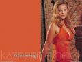 11katherine heigl 106