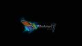 best-windows-7-1920x1080-wallpaper-1132